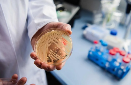 εργαστηριακό-κρέας-από-μύκητα-θα-μπ-2226808