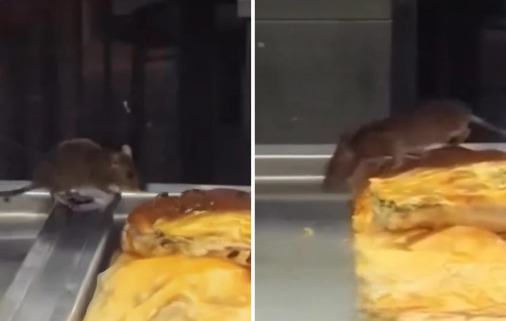 εικόνες-που-προκαλούν-αποτροπιασμό-π-2228814