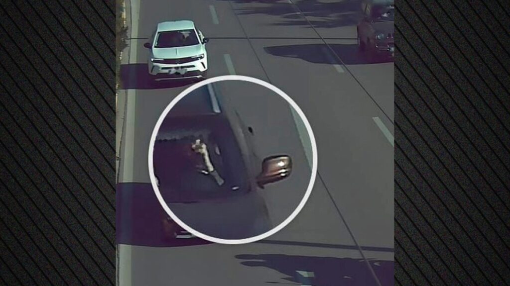 έπιασαν-δουλειά-στους-δρόμους-οι-8-κά-2231568