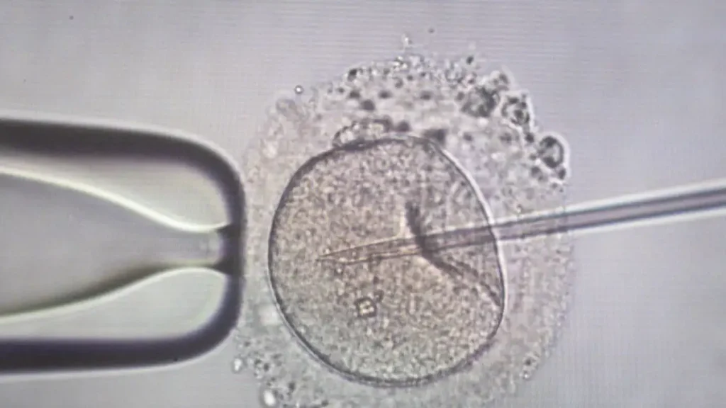 αγωνία-για-11-οικογένειες-στην-ελλάδα-πο-2225390