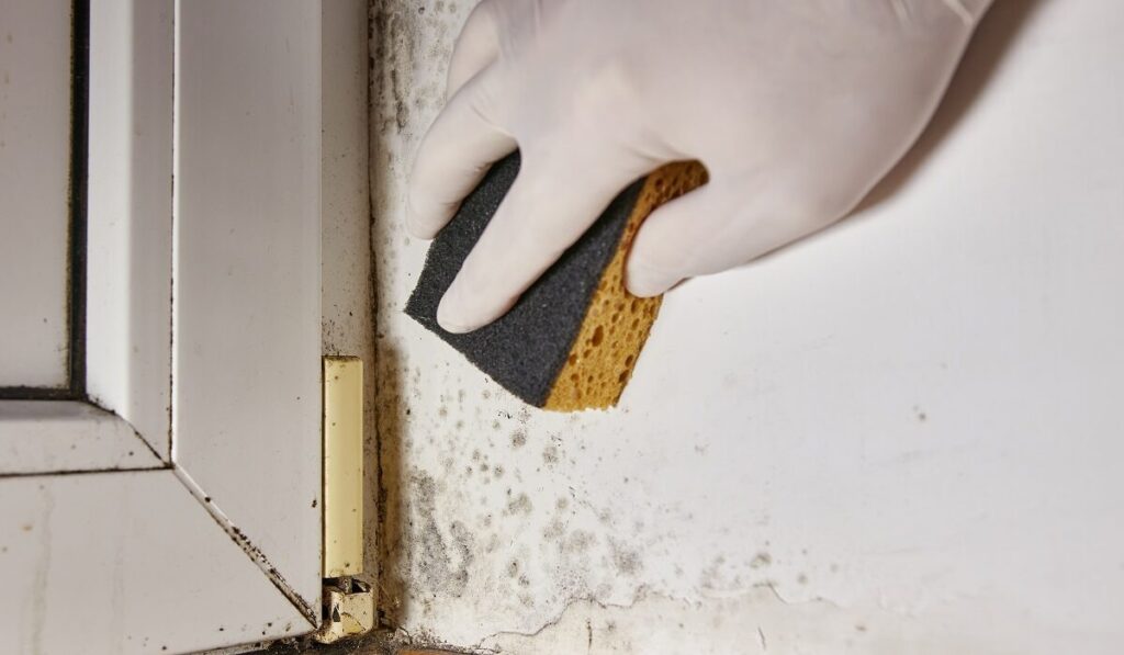 η-κίνηση-ματ-για-να-ξεφορτωθείτε-την-υγ-2220553