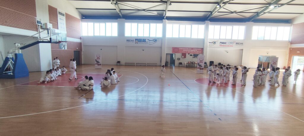 χανιά-αθλητισμός-εκπαίδευση-και-γιορ-2241601