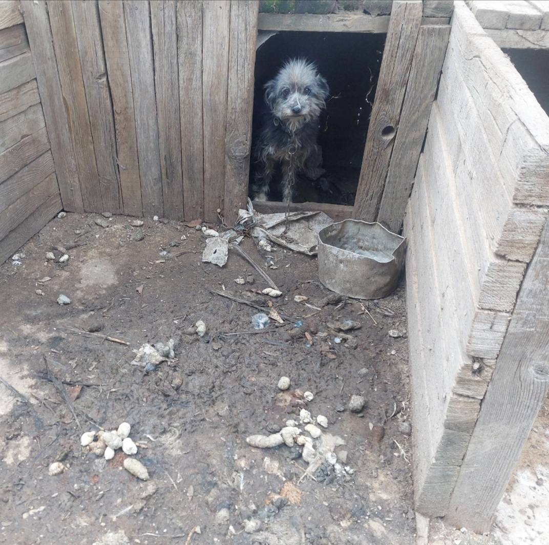 616065271 2657507507953677 87839