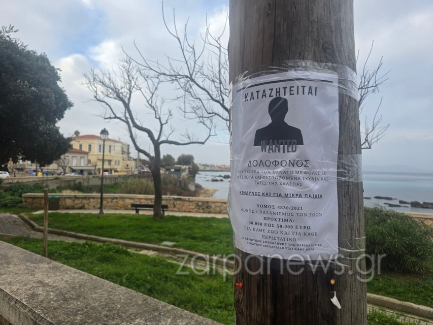 καταζητείται-δολοφόνος-προσοχή-2255115