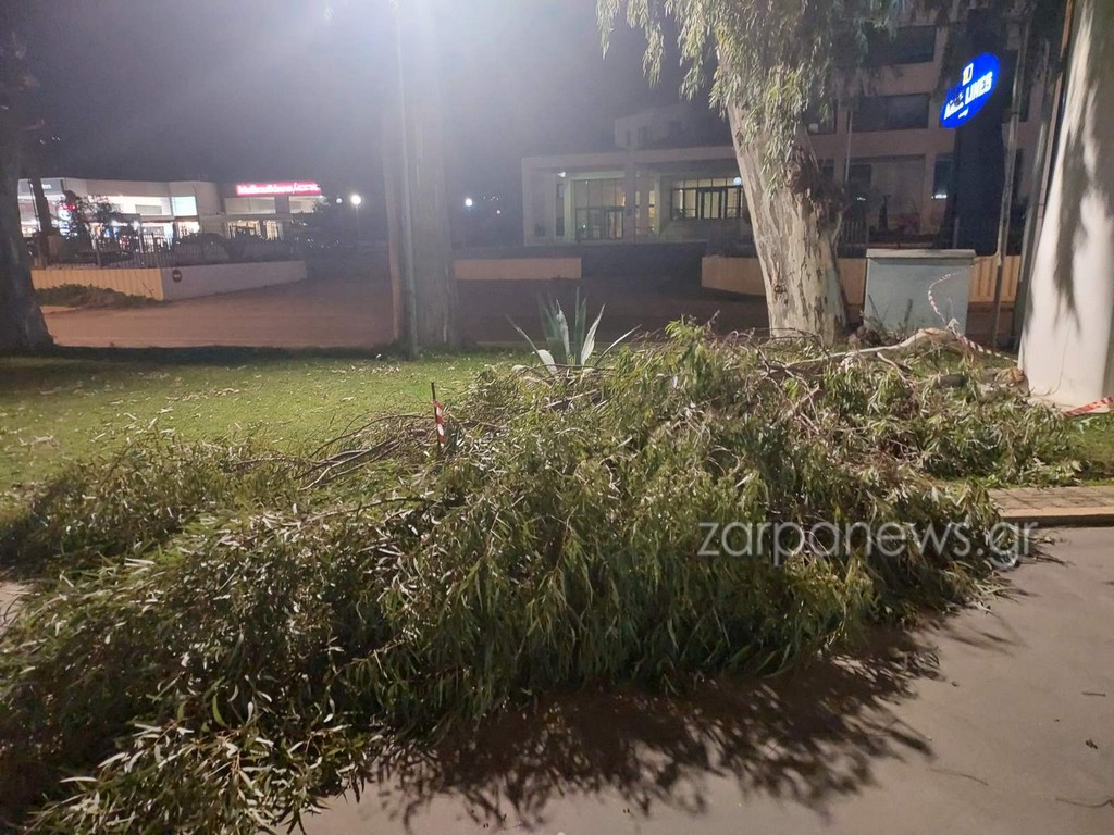 χανιά-τεράστιο-κλαδί-σαν-δέντρο-έπεσε-2255587
