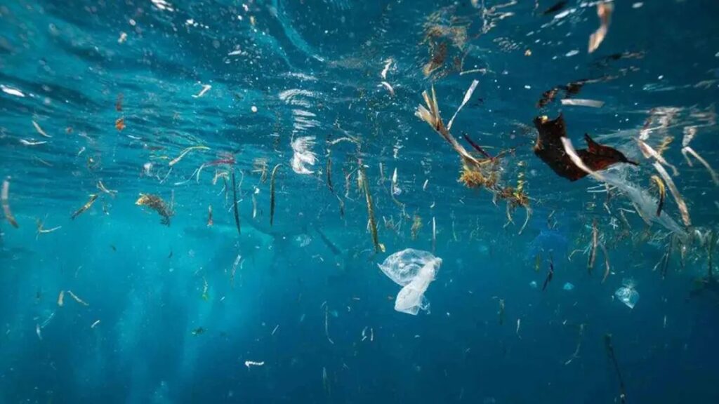 μικροπλαστικά-εντοπίστηκαν-στο-ένα-τ-2255284