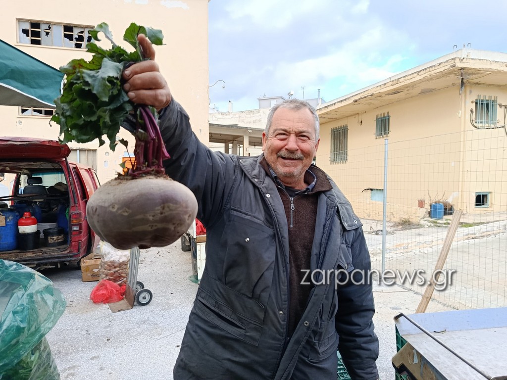 παντζάρι-γίγας-έβγαλε-χανιώτης-παραγ-2245298