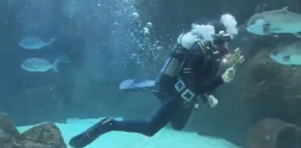 εντυπωσιακά-και-φέτος-τα-θεοφάνια-στο-2240670