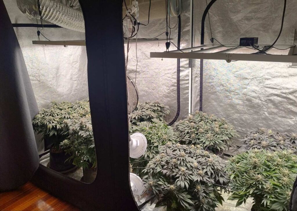 κρήτη-είχε-στο-σπίτι-μίνι-θερμοκήπιο-2260929