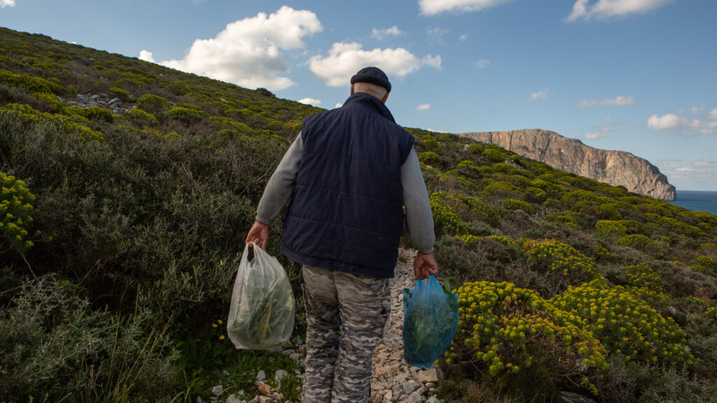 μικροί-και-μεγάλοι-πάνε-για-χόρτα-με-με-2259832