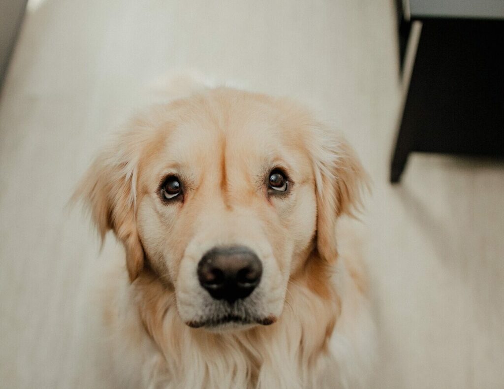 με-ποιους-τρόπους-μας-ζητάει-συγγνώμη-2297871