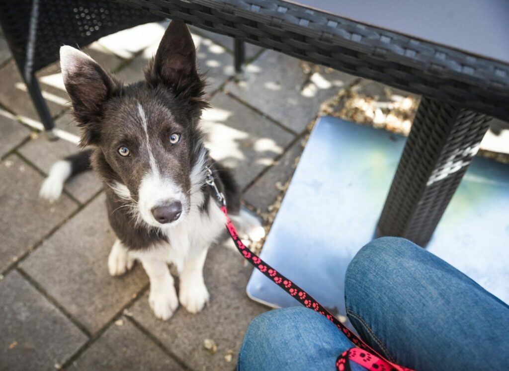θέλετε-να-κάνετε-εκκαθάριση-στην-ντου-2273868
