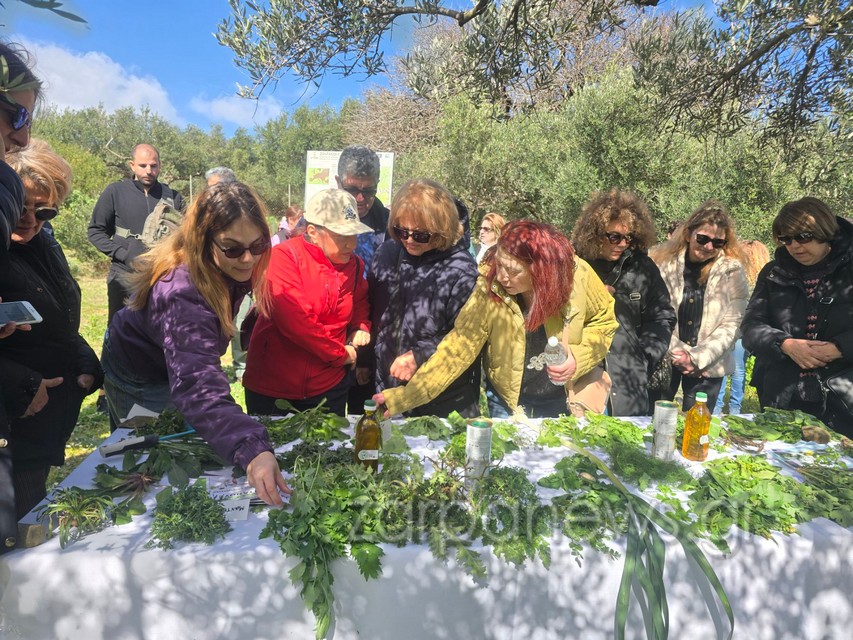 αρχική-σελίδα-2268972