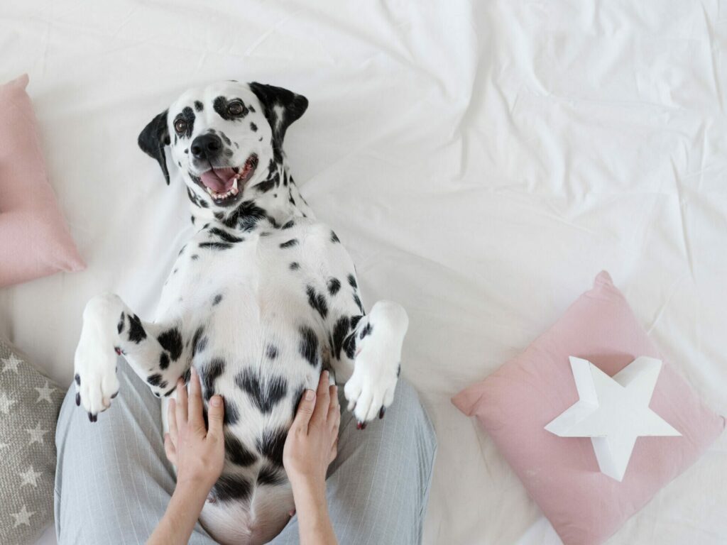 οι-τρεις-κακές-συνήθειες-που-ανεβάζου-2259617