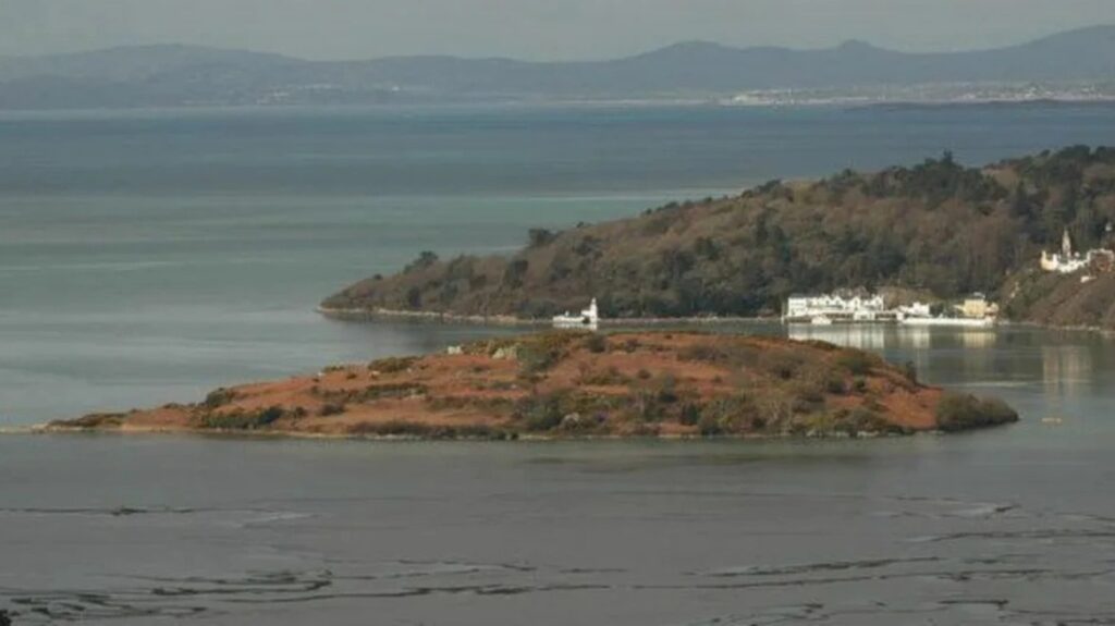 πωλείται-βασιλικό-νησί-σε-τιμή-σοκ-2264810