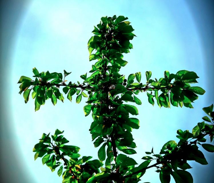 χανιά-μεγάλη-σαρακοστή-ο-δρόμος-προς-2270787