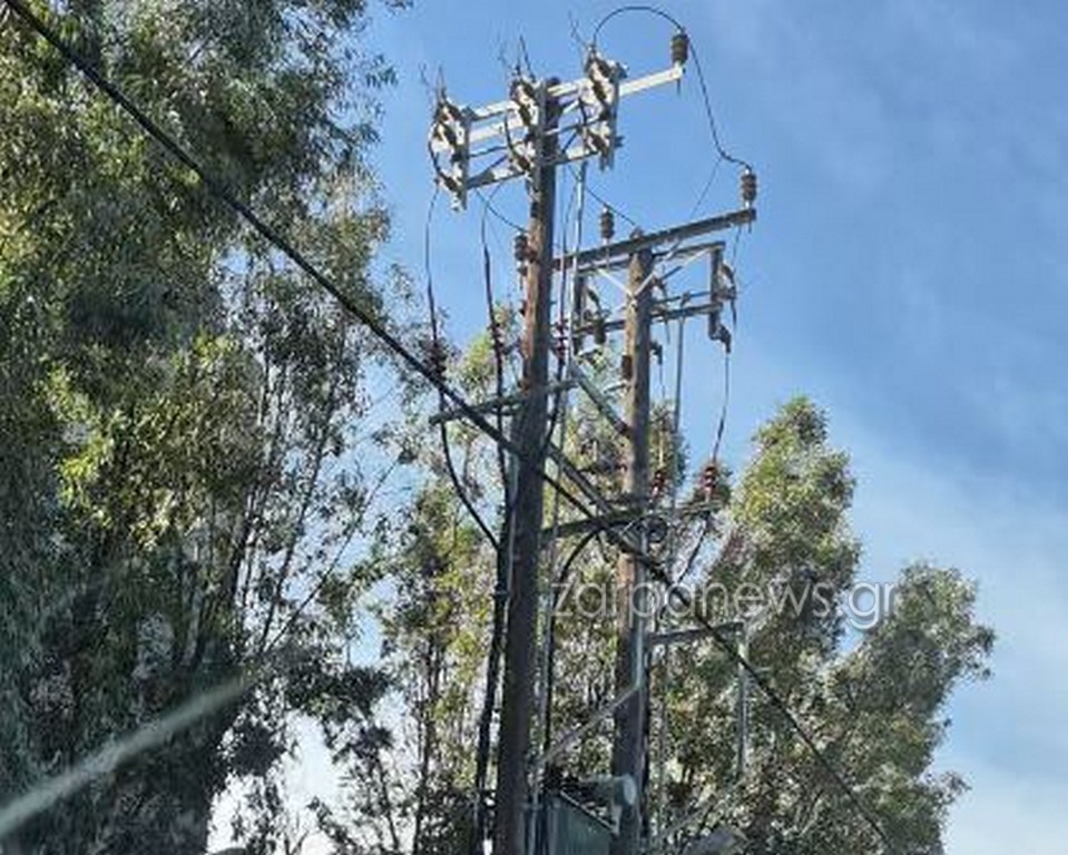 χανιά-μήπως-τα-δέντρα-θέλουν-κλάδεμα-2264422