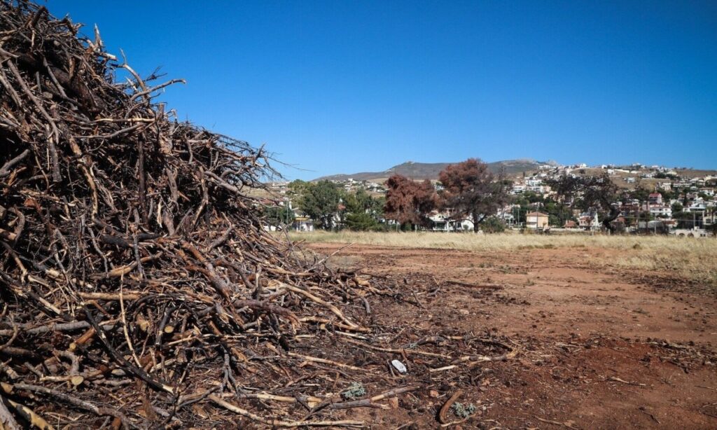 μεγάλη-επιχείρηση-του-ελληνικού-fbi-σε-μ-2281741