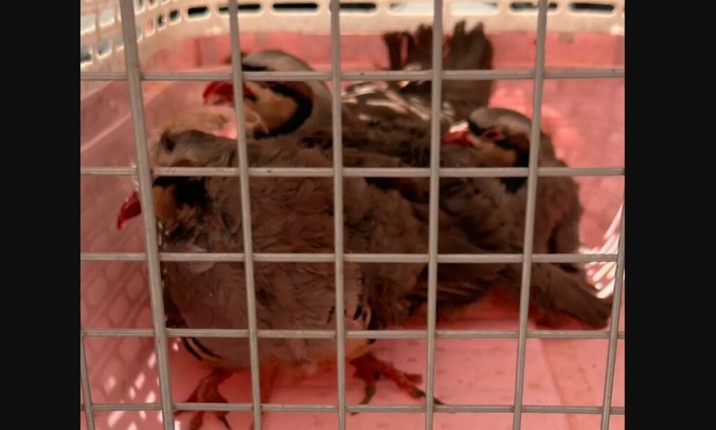 σχηματίσθηκε-δικογραφία-για-τον-άνδρ-2295824