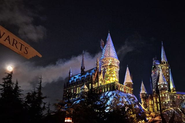 παίκτης-από-το-your-face-sounds-familiar-της-βουλγαρίας-ενσ-2291974