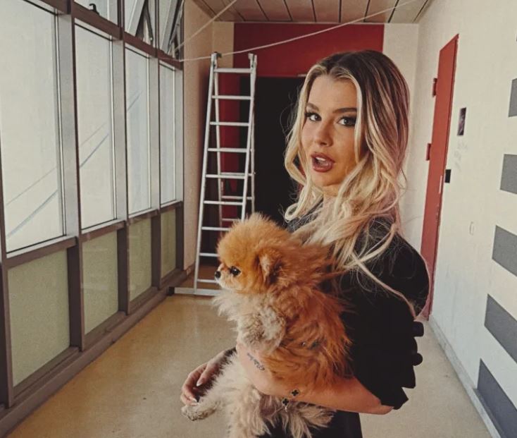 modern-cinderella-τα-ακαθάριστα-έσοδά-της-για-το-2025-άγγ-2290079