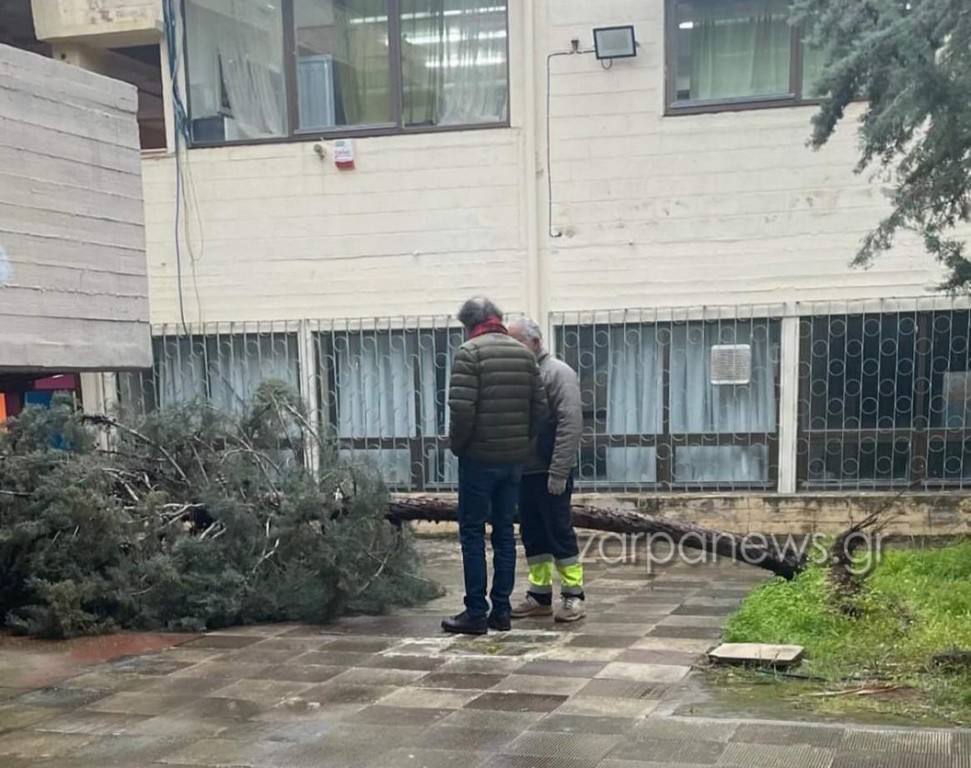 έπεσε-δέντρο-λόγω-της-κακοκαιρίας-σε-σ-2288184