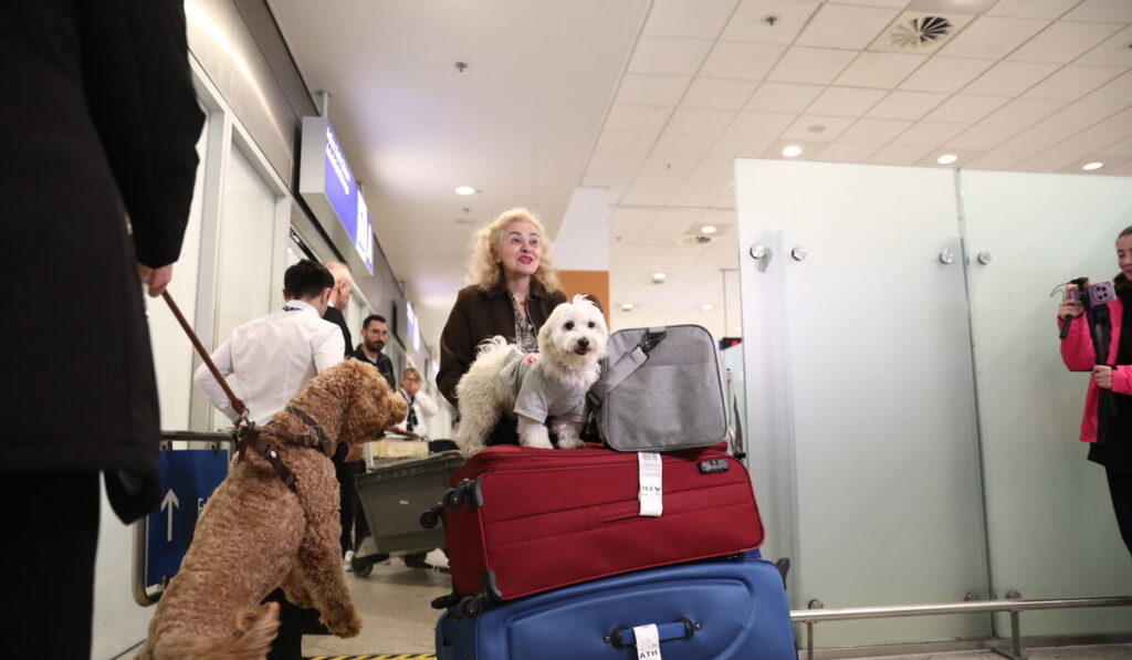 είναι-μέλη-της-οικογένειάς-μας-συ-2287461