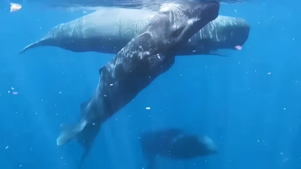 ώρα-της-γης-2026-σβήνουμε-τα-φώτα-για-μια-ώρ-2292682