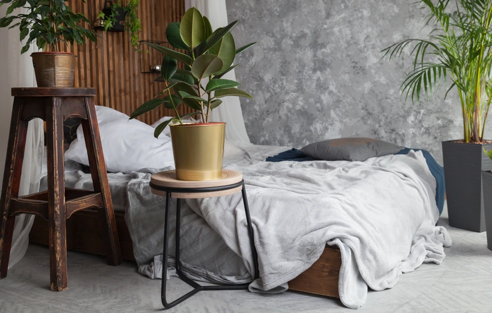 πώς-αποθηκεύουμε-τις-φράουλες-για-να-μ-2292562