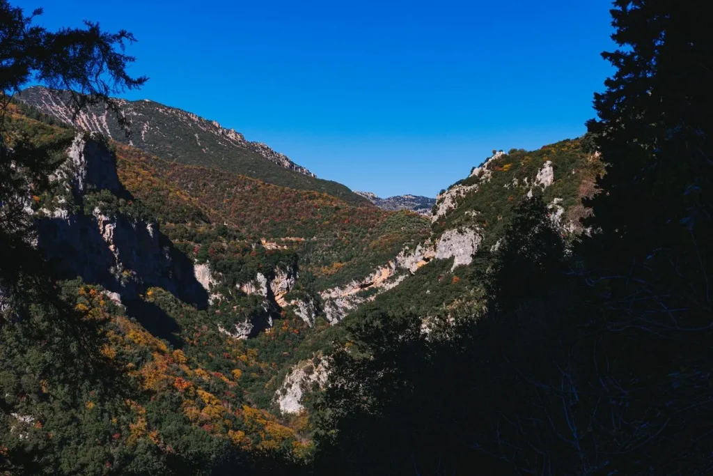τρομακτική-μελέτη-προβλέπει-ακριβώς-2289919