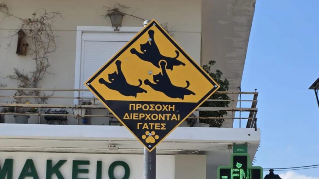 εργαστηριακό-φουά-γκρα-και-σοκολάτα-α-2285558