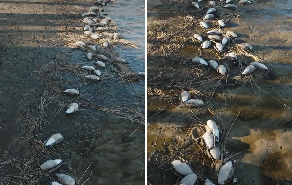 νεκροί-ο-πιλότος-και-ο-συγκυβερνήτης-α-2290139