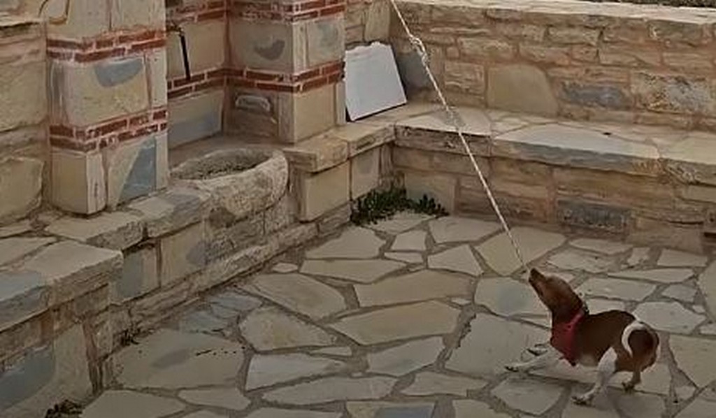 έρχεται-νέα-κακοκαιρία-έως-το-σάββατο-2286676