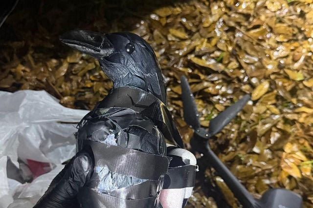 γυναίκες-μεταμφίεσαν-drones-σαν-κοράκια-γι-2282826