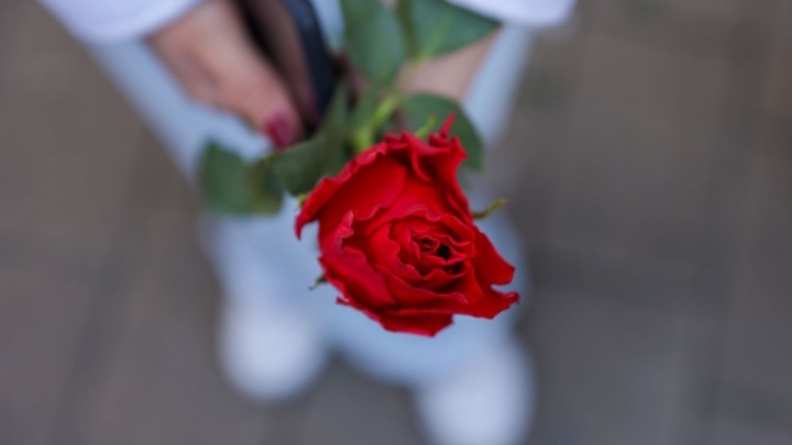 πέντε-πράγματα-που-πρέπει-να-γνωρίζου-2278943