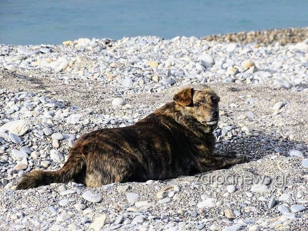 αρχική-σελίδα-2287326