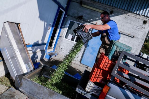 κρήτη-νέο-θανατηφόρο-τροχαίο-αγροτικ-2289211