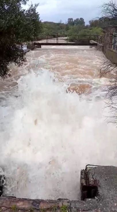 ηράκλειο-κινητοποίηση-φοιτητικών-συ-2291661