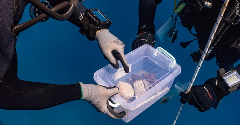 γιατί-θα-κόβονται-χιλιάδες-αυτοκίνητ-2285879