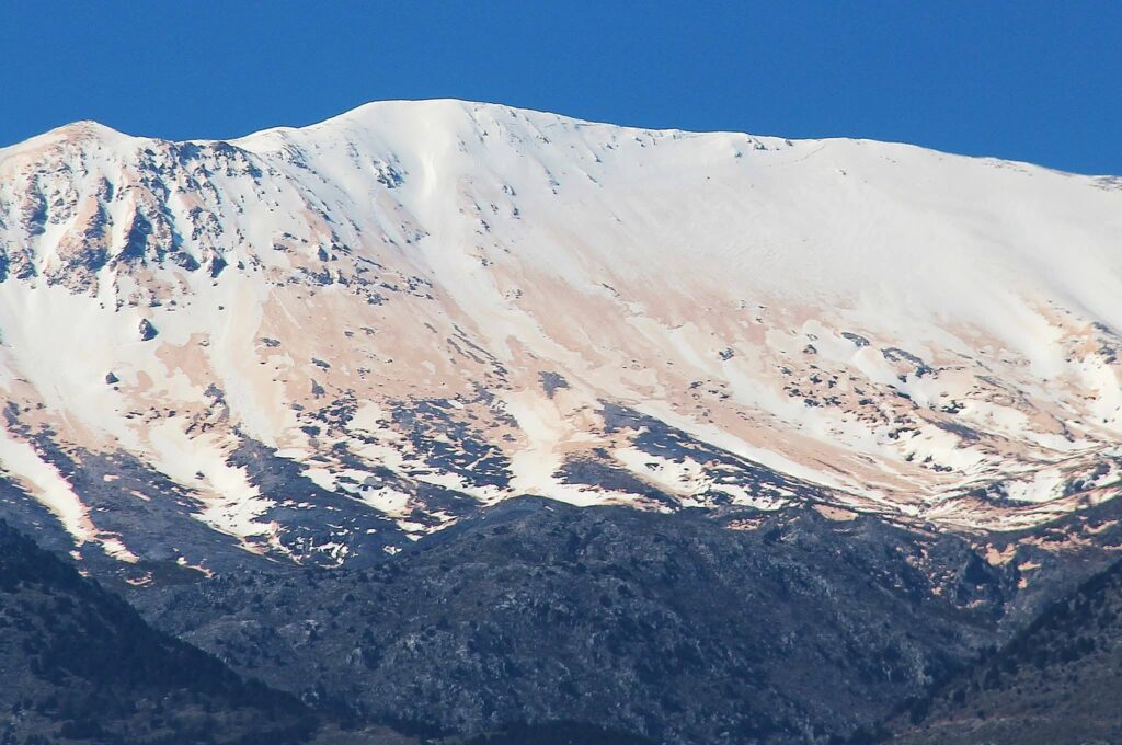 χανιά-το-αποτύπωμα-της-αφρικάνικης-σκ-2301222