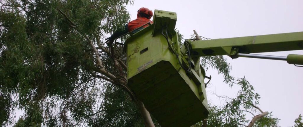συνεχίζεται-στα-χανιά-το-διεθνές-τουρ-2299067
