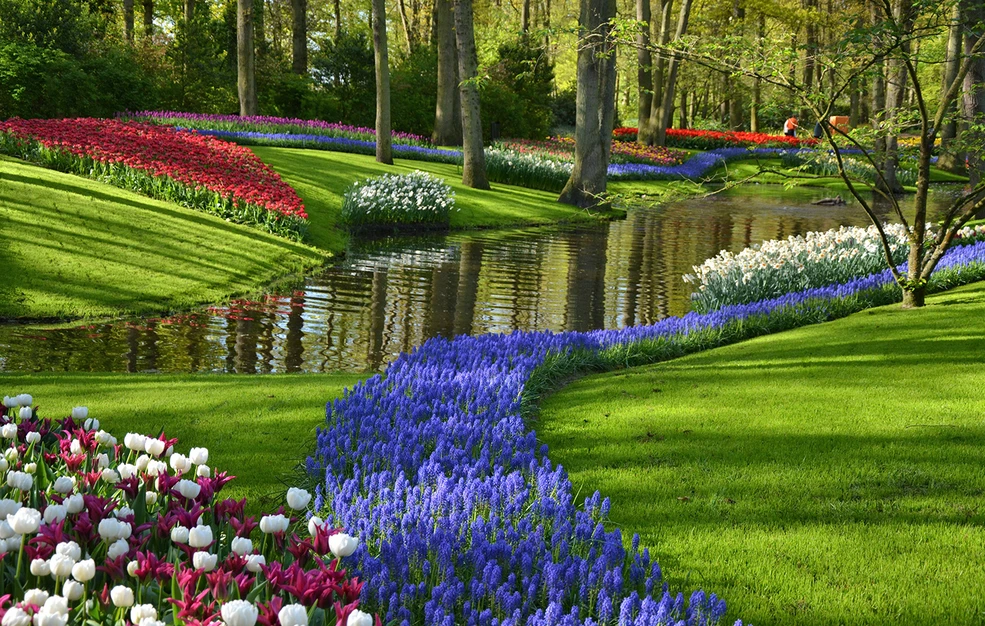 σε-αυτόν-τον-κήπο-θα-δείτε-από-κοντά-το-2308821