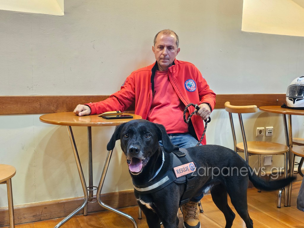 από-αδέσποτος-στα-σκουπίδια-ο-καλύτερ-2310631