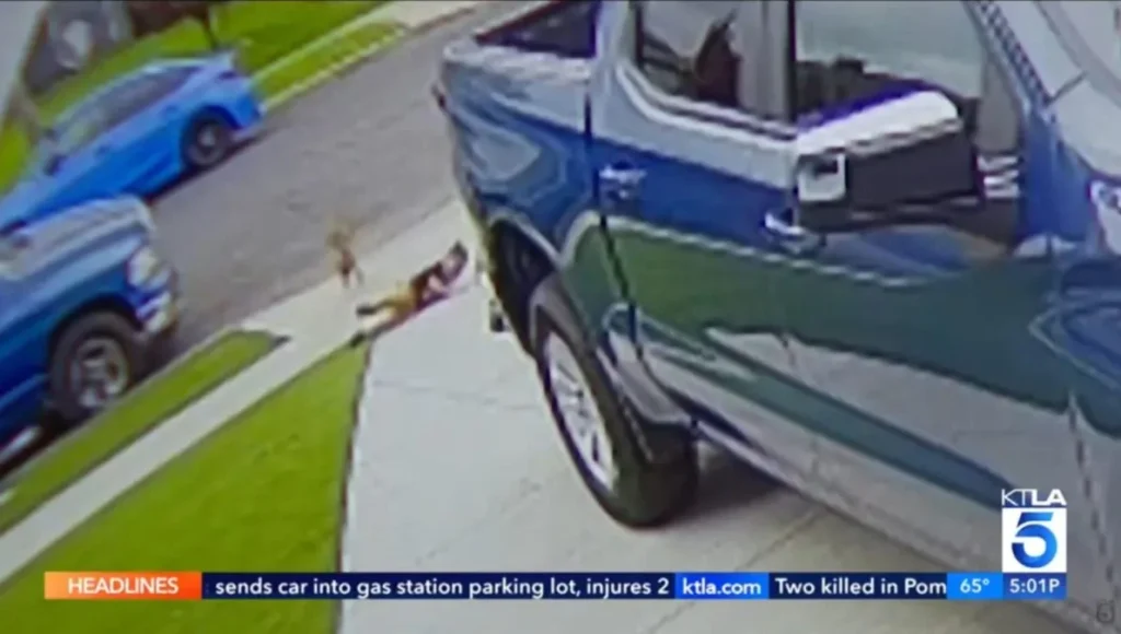 βίντεο-κογιότ-επιτίθεται-σε-4χρονο-παι-2297342