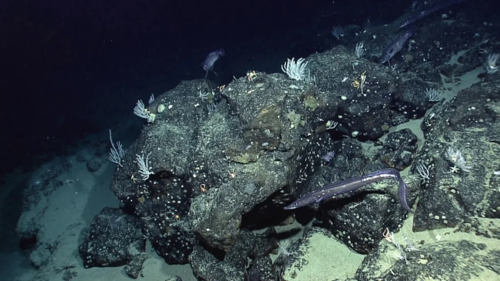 εντυπωσιακό-θέαμα-επιβάτες-πτήσης-κα-2299430