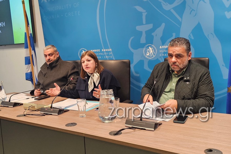 χανιά-απομακρύνθηκε-σμήνος-μελισσών-2296257