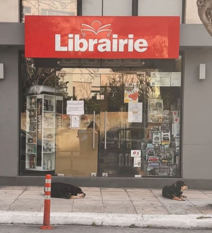 Κρήτη: Θλίψη για την απώλεια της Ελένης - Η συγκλονιστική φωτογραφία με τους δύο σκύλους της να την «αναζητούν» στην πόρτα