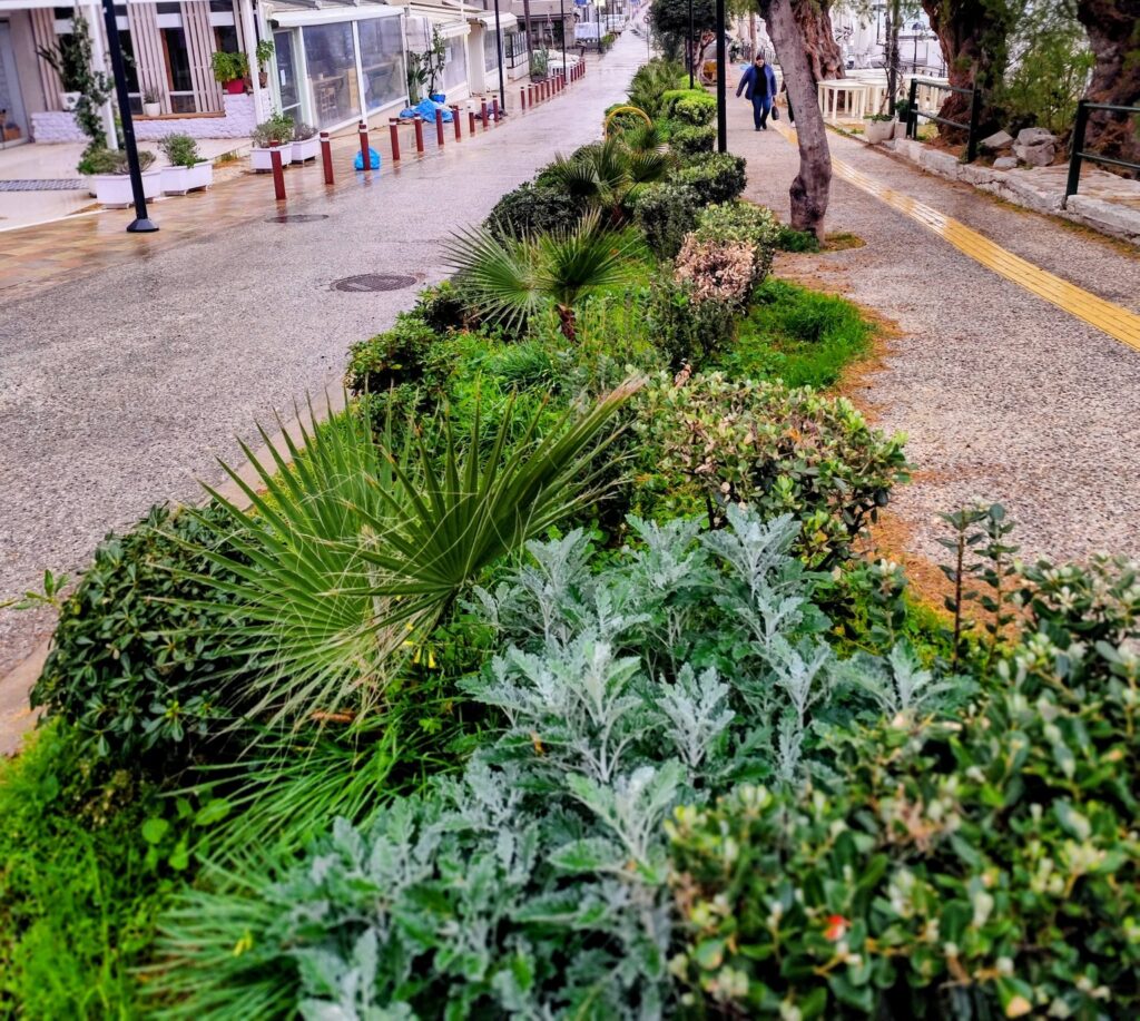 χανιά-κάτοικοι-της-νέας-χώρας-ενώνουν-2297033