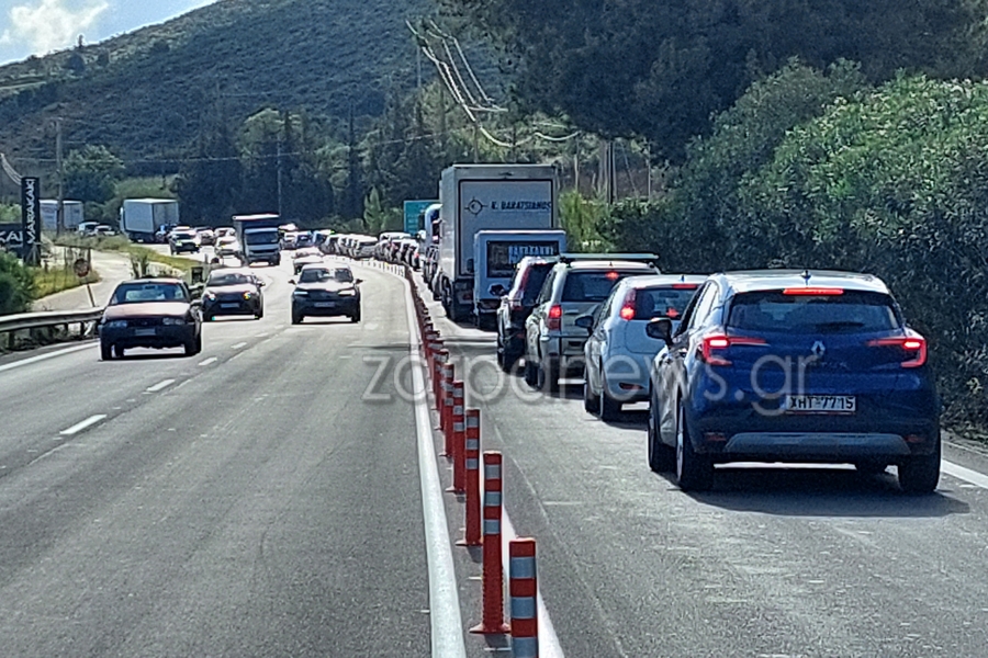 παρέμβαση-καλογερή-για-το-χάος-στον-βο-2316471