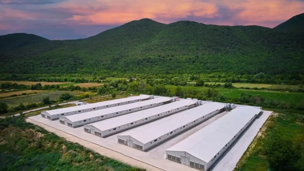 η-νιτσιάκος-εξαγοράζεται-από-την-μηρ-π-2335045